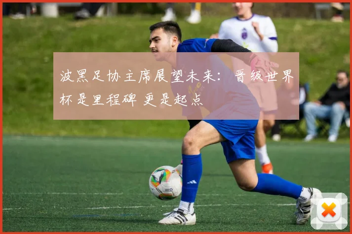 波黑足协主席展望未来：晋级世界杯是里程碑 更是起点